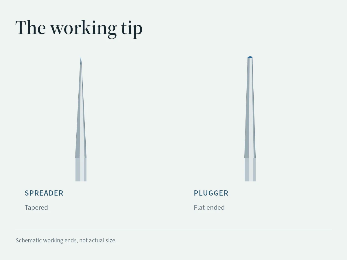 Simplified endodontic spreader and plugger forms compare a tapered end with a flat-ended tip.