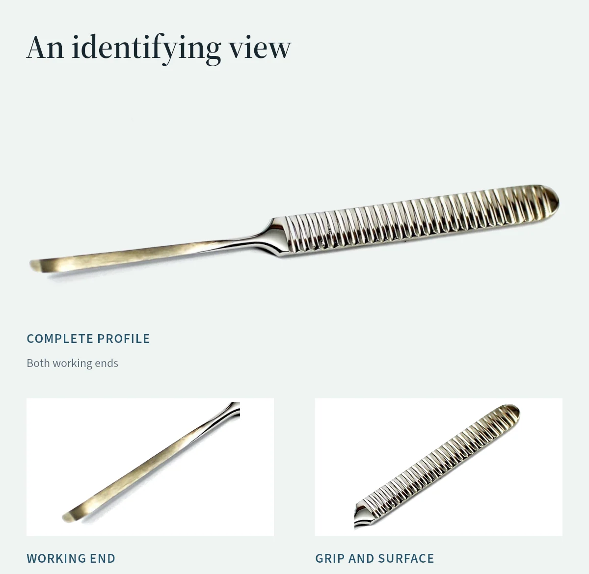 A complete periosteal elevator and detail views show how a full profile, working end and grip support identification.