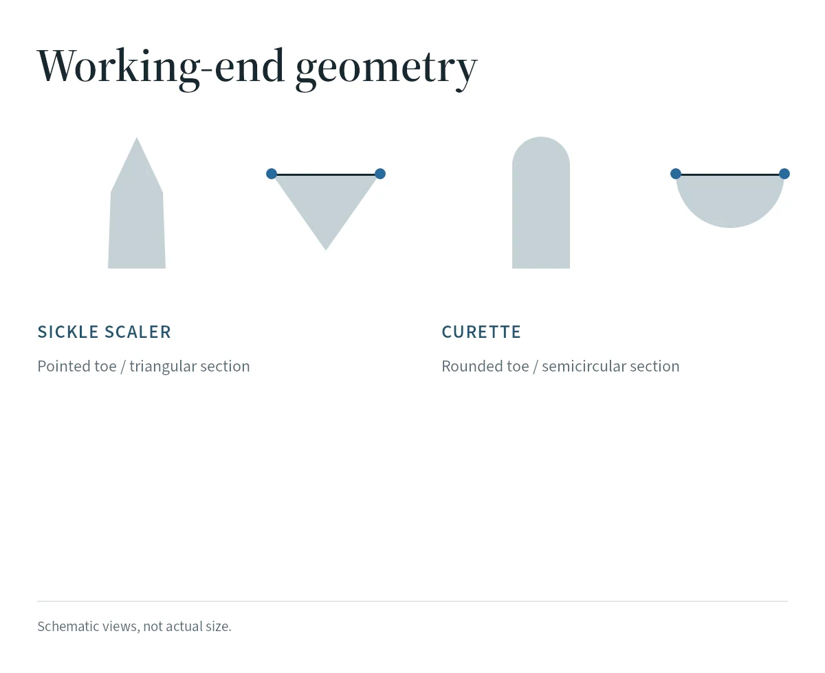 Schematic comparing a sickle scaler, with a pointed tip and triangular cross-section, and a curette, with a rounded tip and semicircular cross-section.